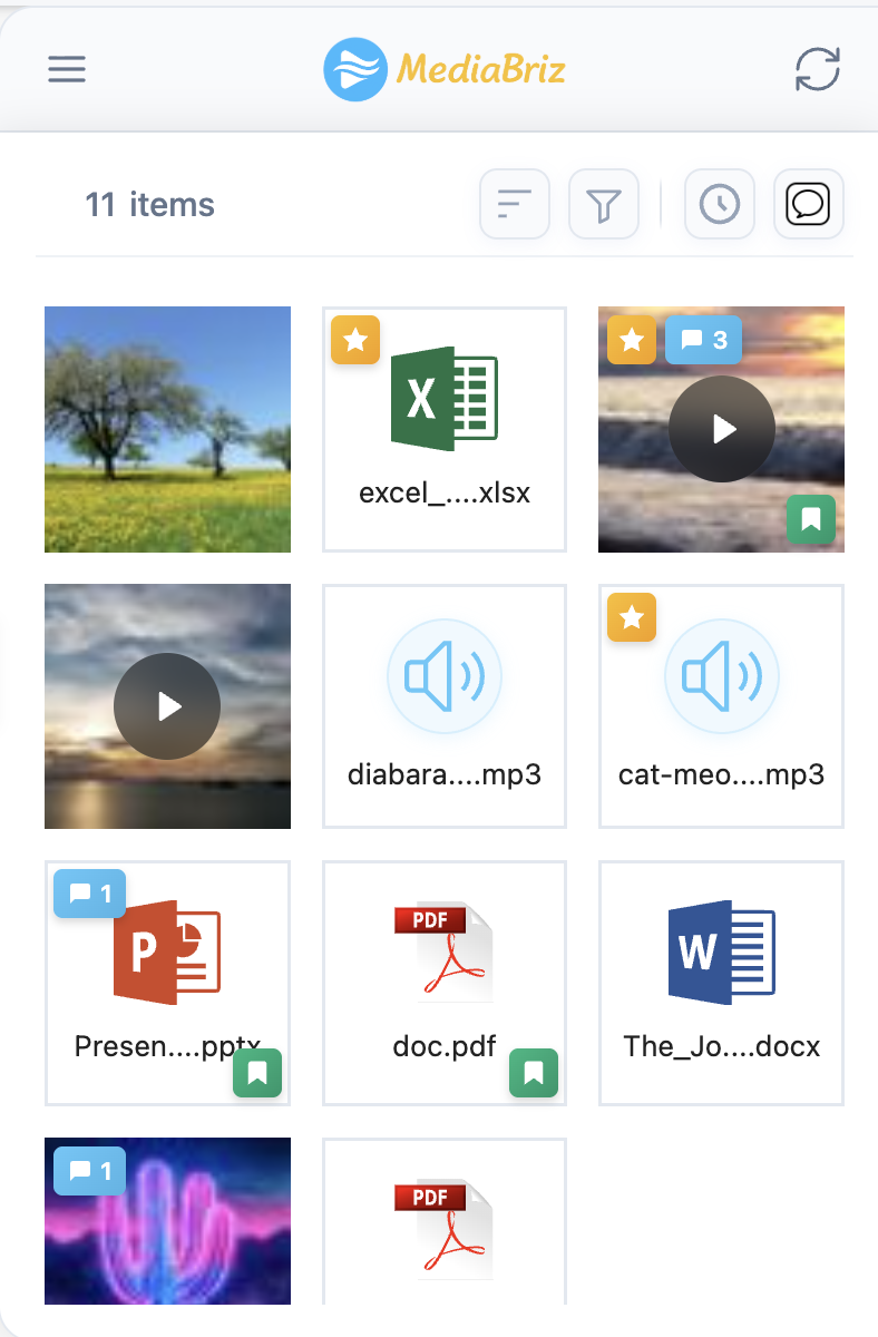 MediaBriz media library showing a grid of 11 items including images, videos, Excel files, audio files, PDFs, and Word documents with filtering and sorting options